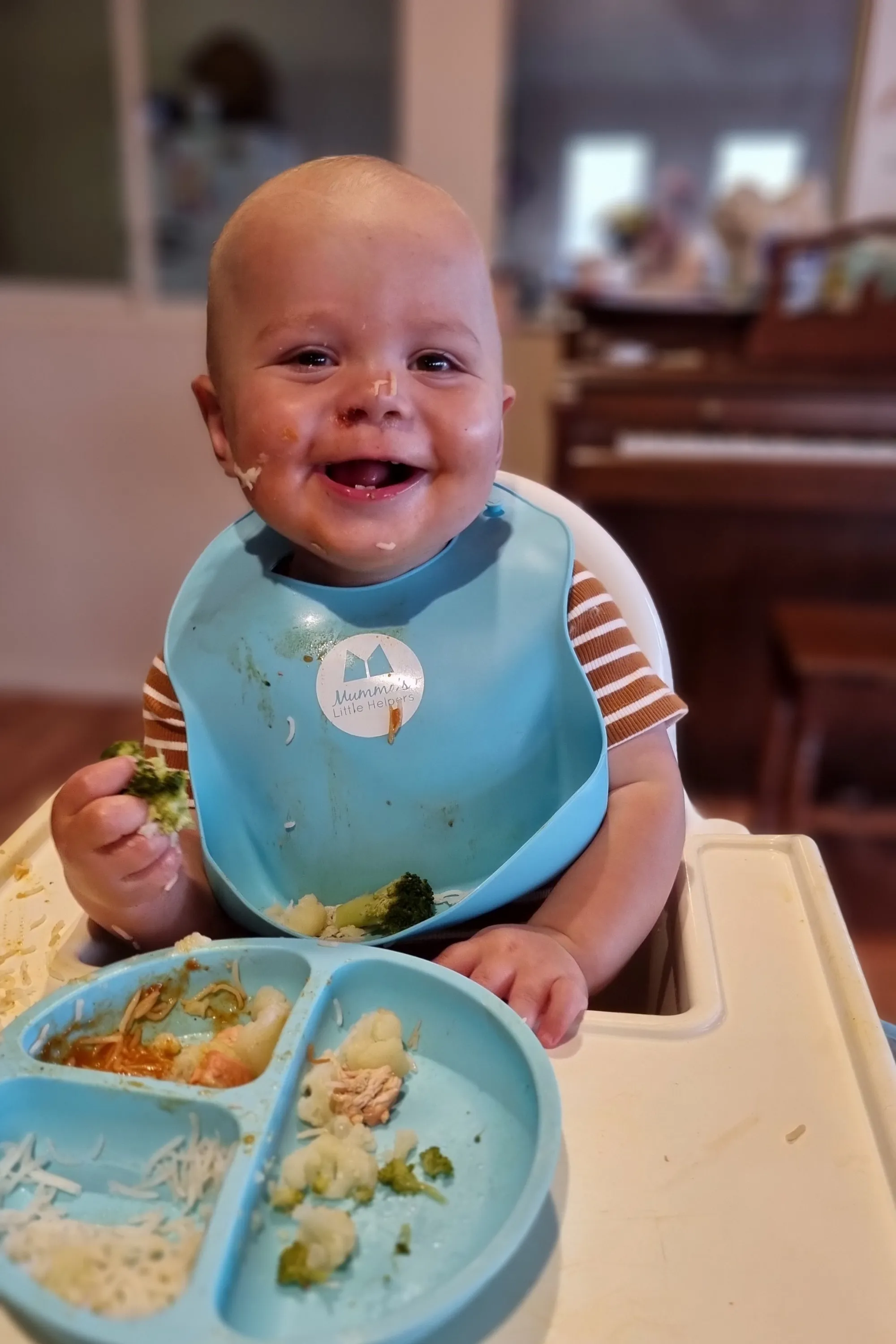 Baby and Toddler Mess Catcher Bib - Blue