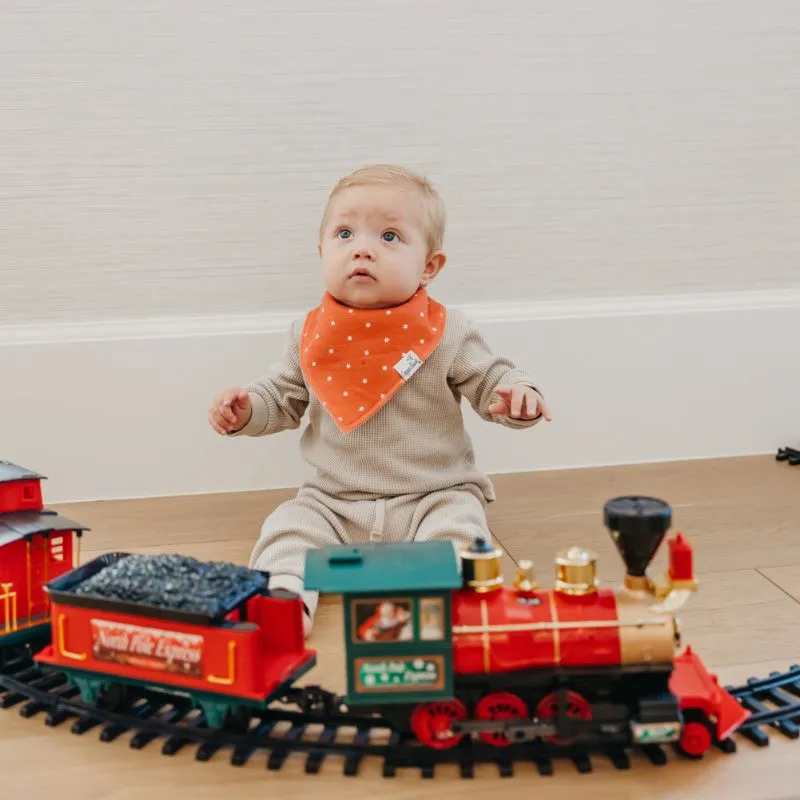 Bandana Drool Bibs - 4 Pack