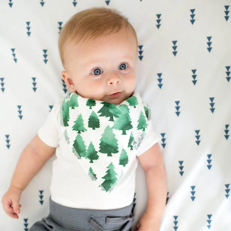 Bandana Drool Bibs - 4 Pack